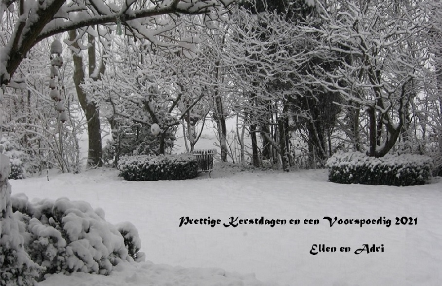 2021 Kerst-NJ kaart Sneeuwtuin (klein).jpg